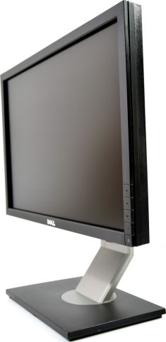 DELL Professional P1911 TCO 5.0