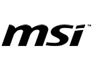 MSI
